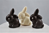 Pudgy Bunny