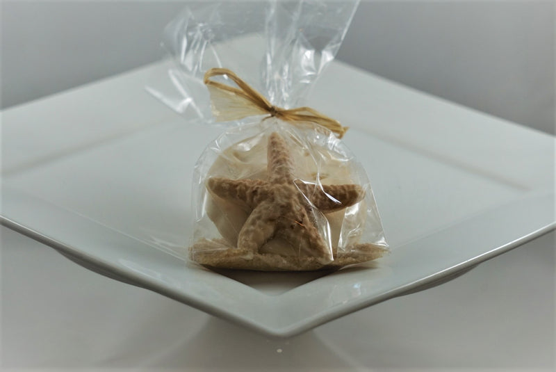 Seashell 2 pack