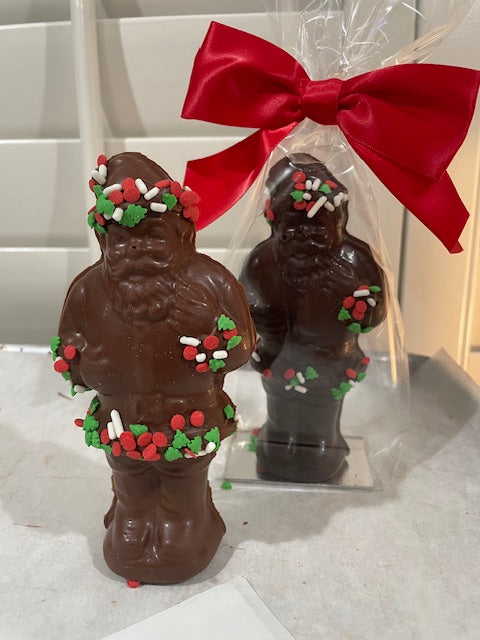 Hollow Standing Santa