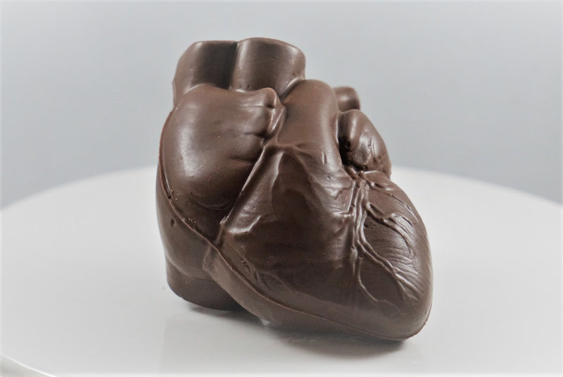 3D Anatomical Heart