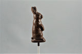 Easter Bunny Silhouette Lollipop