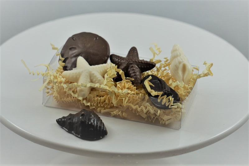 Small & Large Seashell Box