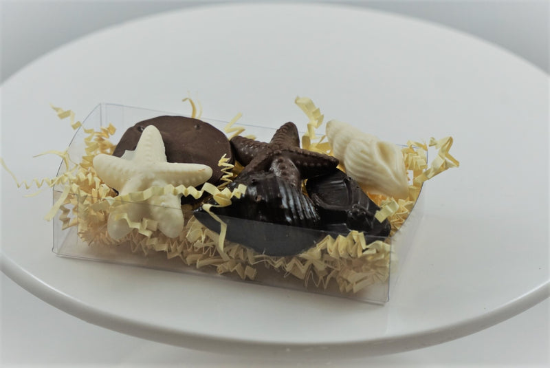 Small & Large Seashell Box