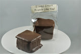 Chocolate Covered S'mores